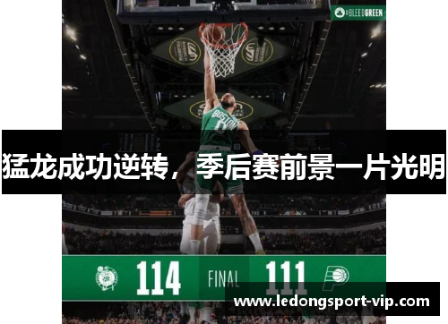 猛龙成功逆转，季后赛前景一片光明