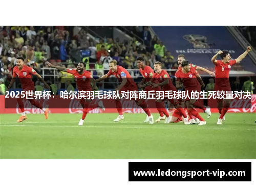 2025世界杯：哈尔滨羽毛球队对阵商丘羽毛球队的生死较量对决