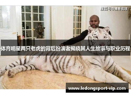 体育明星两只老虎的背后扮演者揭晓其人生故事与职业历程