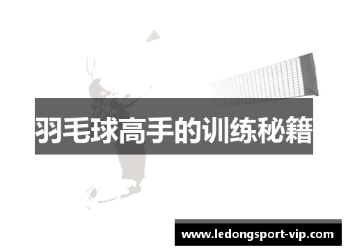羽毛球高手的训练秘籍